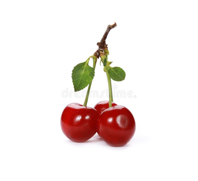 Cluster of Juicy Red Cherries Isolated on a White Background Stock ...