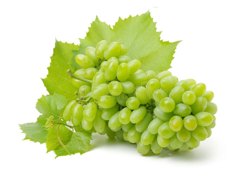 Cluster of ripe, green grapes