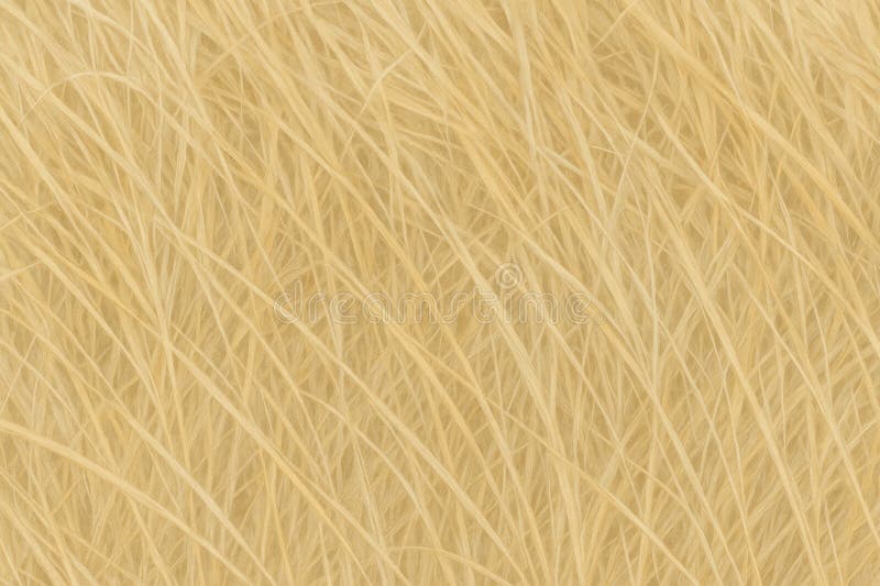 Pastel Texture of Dried Grass – Muted Beige and Golden Tones with Soft Organic Flow for a Natural, Elegant Aesthetic royalty free illustration