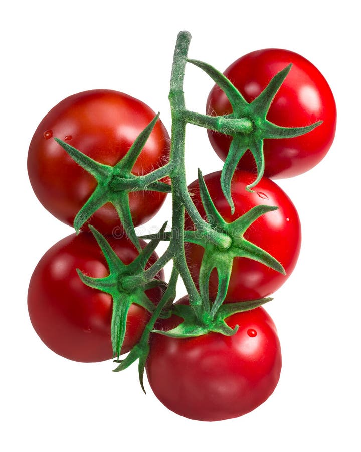 Cluster of tomatoes, paths