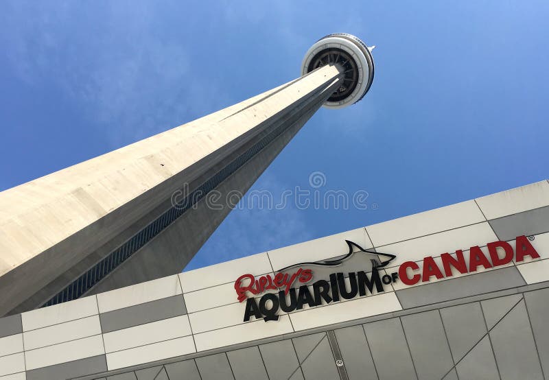 CN Tower With Ripley`s Aquarium Editorial Photo Image of ripleys