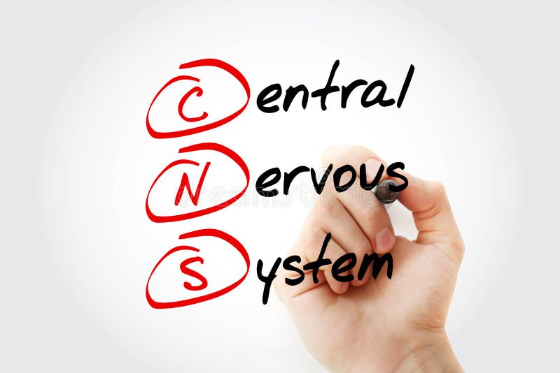 CNS - Acrónimo del Sistema Nervioso Central con marcador, fondo conceptual