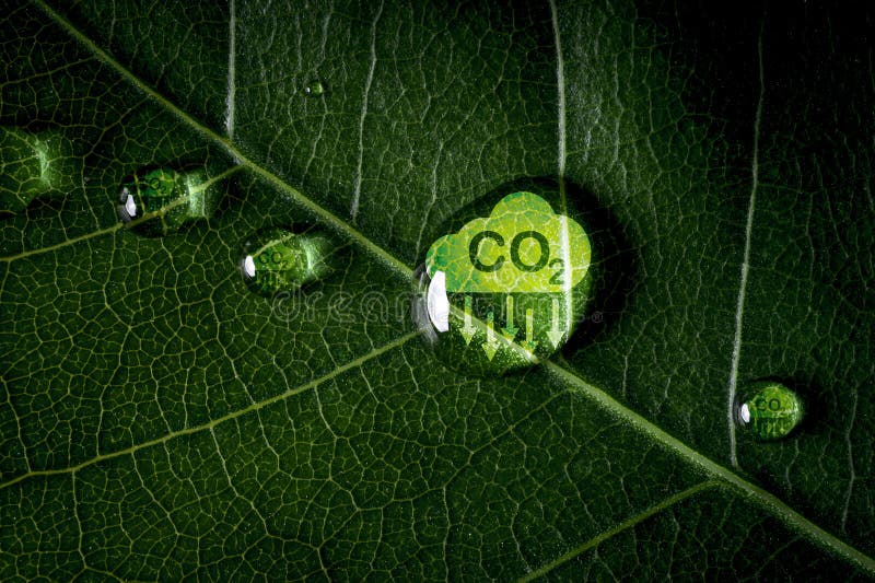 CO2 reducing icon on green leaf with water droplet for decrease CO2 , carbon footprint and carbon credit to limit global warming