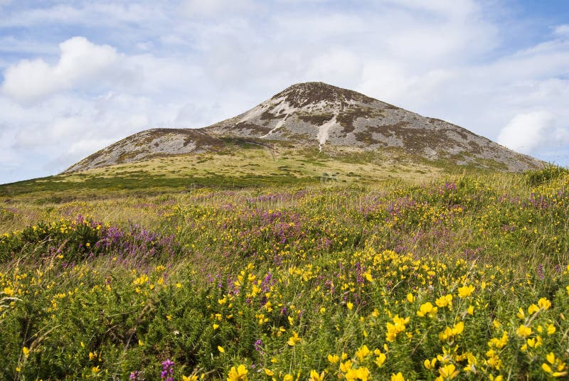 co wielki Ireland bochenka cukier Wicklow fotografia stock co wielki Ireland bochenka cukier Wicklow fotografia stock