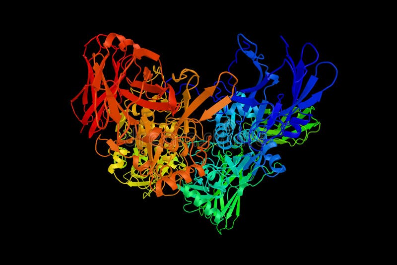 Coagulation Factor XIII, or fibrin stabilizing factor, an enzyme. Of the blood coagulation system that crosslinks fibrin. Deficiency of this factor (FXIIID) royalty free stock images Coagulation Factor XIII, or fibrin stabilizing factor, an enzyme. Of the blood coagulation system that crosslinks fibrin. Deficiency of this factor (FXIIID) royalty free stock images
