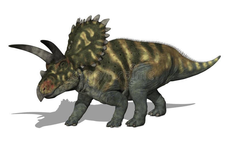 The Coahuilaceratops dinosaur lived in Mexico during the Late Cretaceous Period - 3D render.