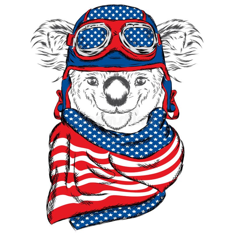 Coala bonito em um capacete e em um lenço ilustração do vetor Coala bonito em um capacete e em um lenço ilustração do vetor