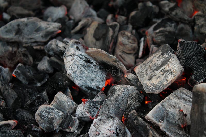 The Coals are Burning Out from the Inside Stock Image Image of meat