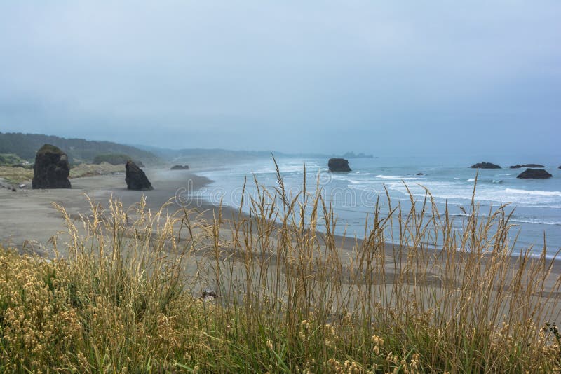 The Coast Along Brookings, Oregon Stock Photo Image of bush, green