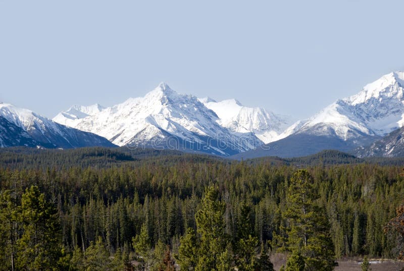 Coast mountain range of british columbia in winter