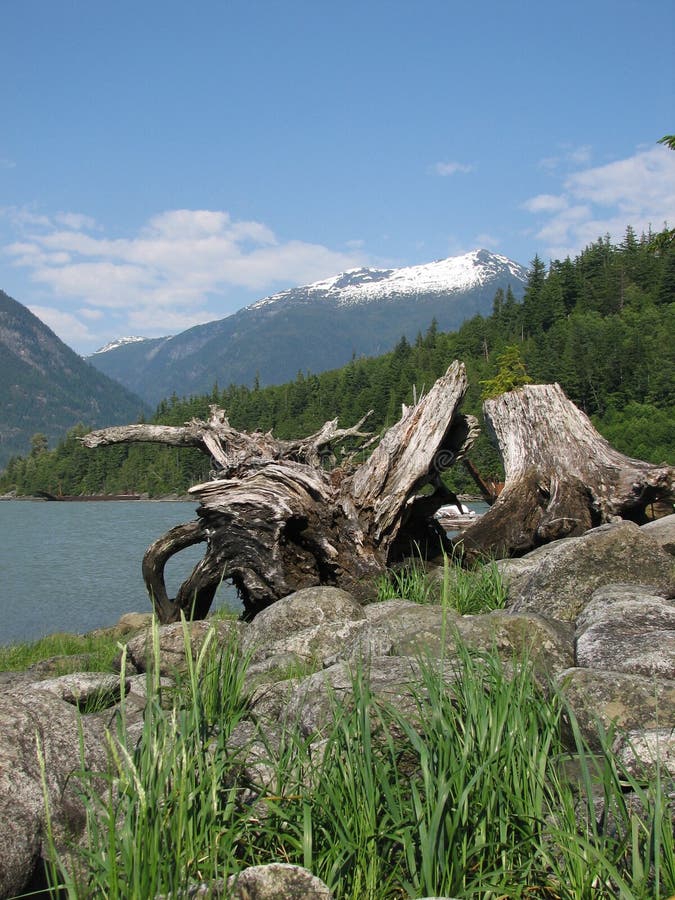 Coast mountains bella coola