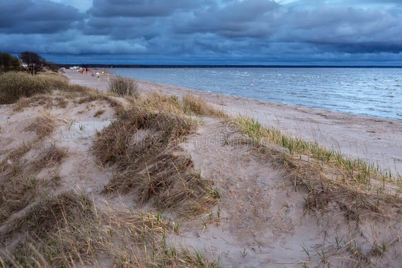 Coast of the Parnu Bay in evening in overcast