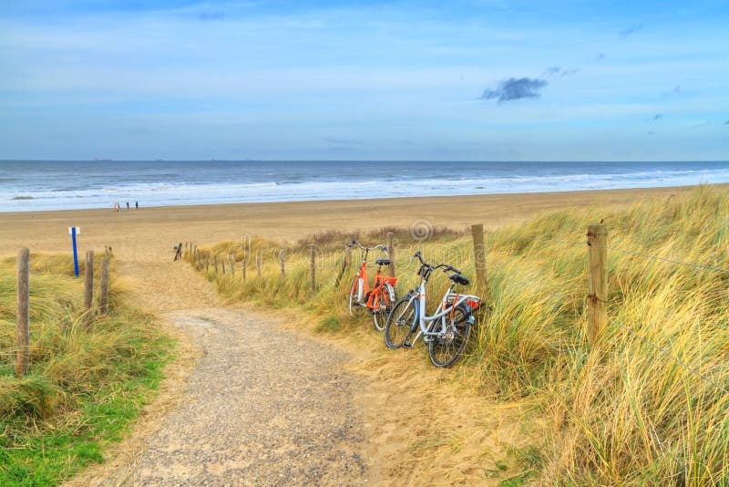 Coast of South Holland with grass covered sand dunes, the Netherlands