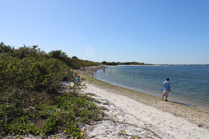 A Coastal Beach Inside Tampa Bay in Apollo Beach Florida. Editorial
