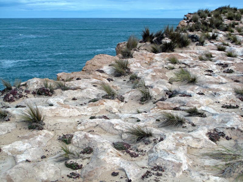 Coastal Cliffs