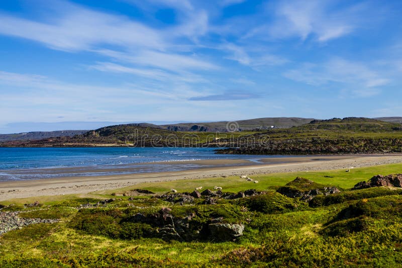 Coastal landscape and the Barents Sea stock images