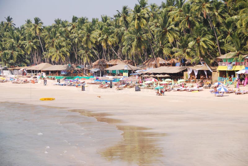 The coastline with loungers and thatched sunshade ander the green palms