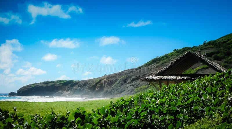 Coastline of Mustique Island