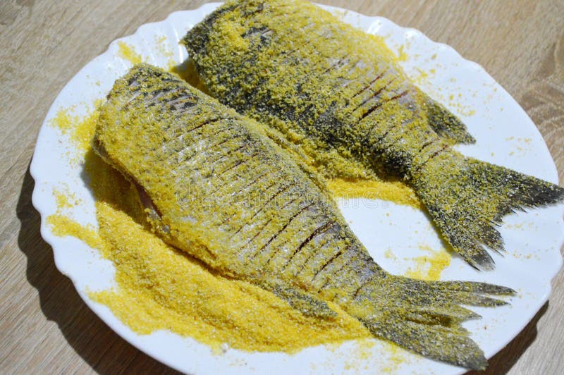 Coating fish in corn meal stock photo. Image of golden 270543354
