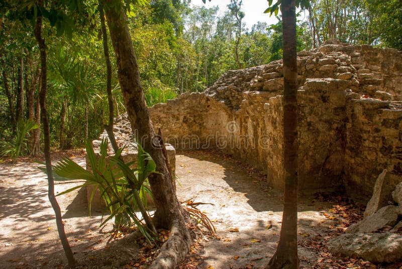 Coba, Mexico Oude mayan stad in Mexico Coba is een archeologisch gebied en een beroemd oriëntatiepunt van het Schiereiland van Yu royalty-vrije stock foto Coba, Mexico Oude mayan stad in Mexico Coba is een archeologisch gebied en een beroemd oriëntatiepunt van het Schiereiland van Yu royalty-vrije stock foto