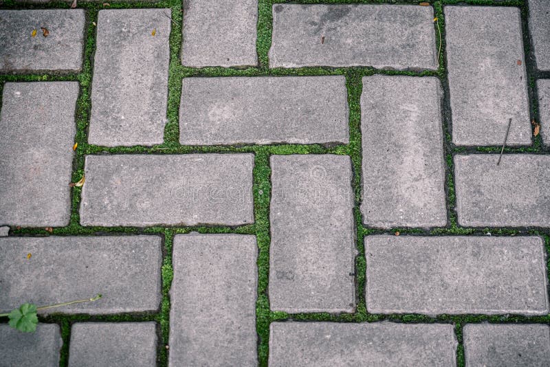 Cobblestone path with sprouted green moss royalty free stock photography