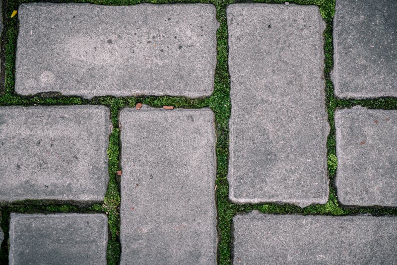 Cobblestone path with sprouted green moss. stock photo