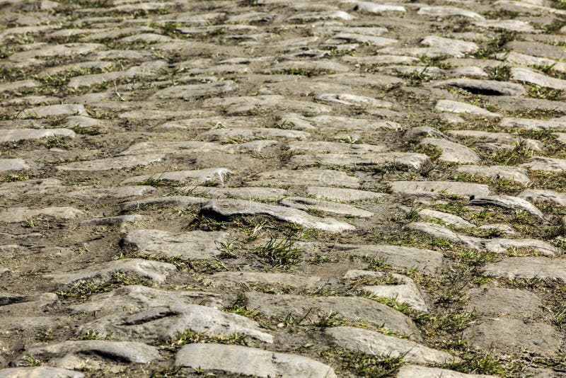 Amatrice Francaise Aged Du Nord De La France