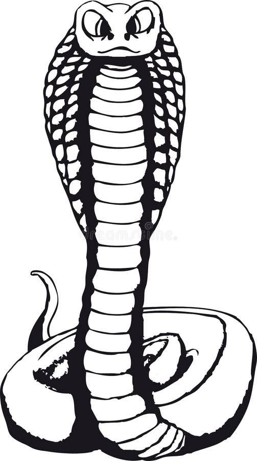 Cobra