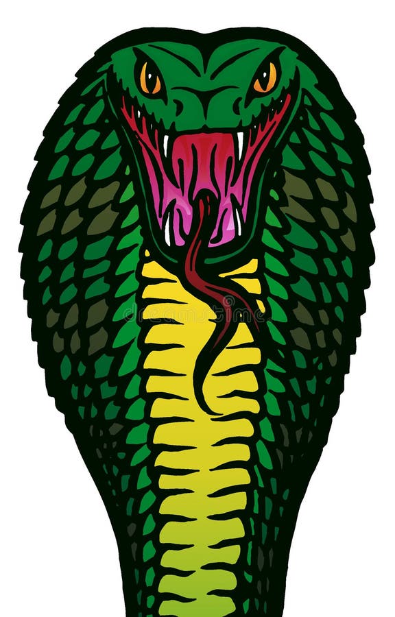 Illustration of a cobra about to strike