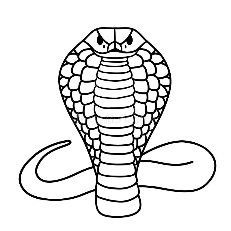 Vetores de Desenho De Cobra Cobra Fofo e mais imagens de Cobra