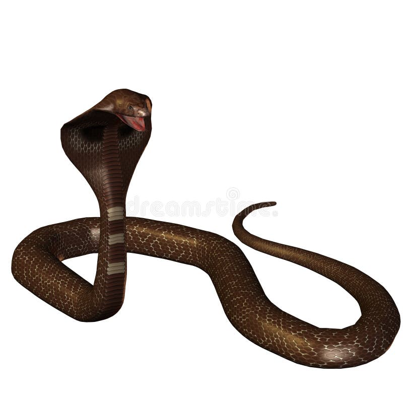 Cobra Da Serpente 3D Isolada Em Um Branco Ilustração Stock