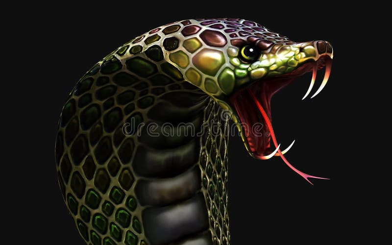 Cobra regelui cel mai lung șarpe veninos izolat pe fond întunecat cu o cale de tăiere vector illustration