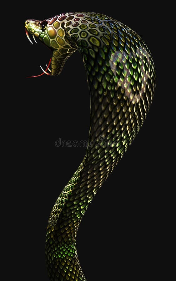 Cobra regelui cel mai lung șarpe veninos izolat pe fond întunecat cu o cale de tăiere royalty free illustration
