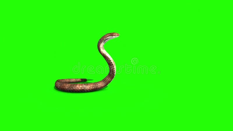 3D Snake Images – Browse 24,690 Stock Photos, Vectors, and Video