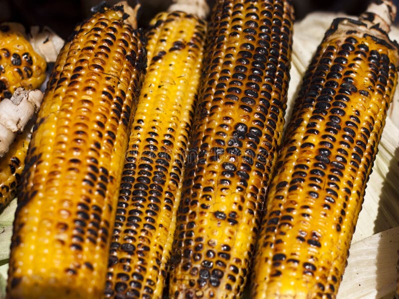 Cobs of corn