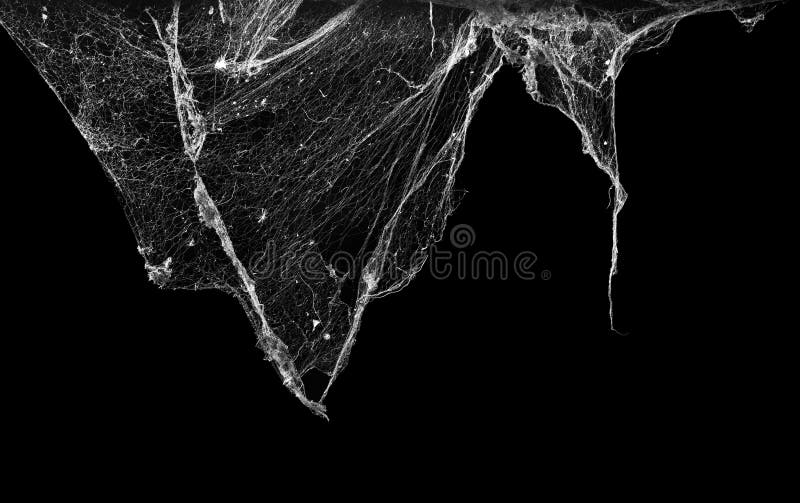 Horror abstract cobweb spiderweb for dark halloween background. Horror abstract cobweb spiderweb for dark halloween background