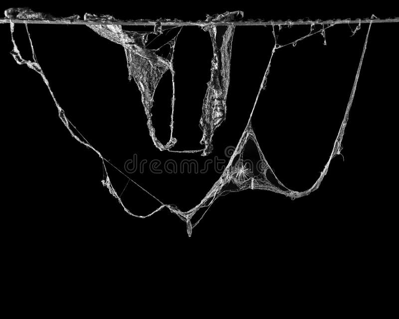 Horror abstract cobweb spiderweb for dark halloween background. Horror abstract cobweb spiderweb for dark halloween background