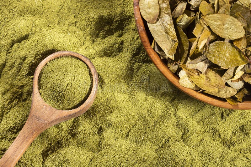 Coca Leaves and Flour Erythroxylum Coca Stock Image Image of