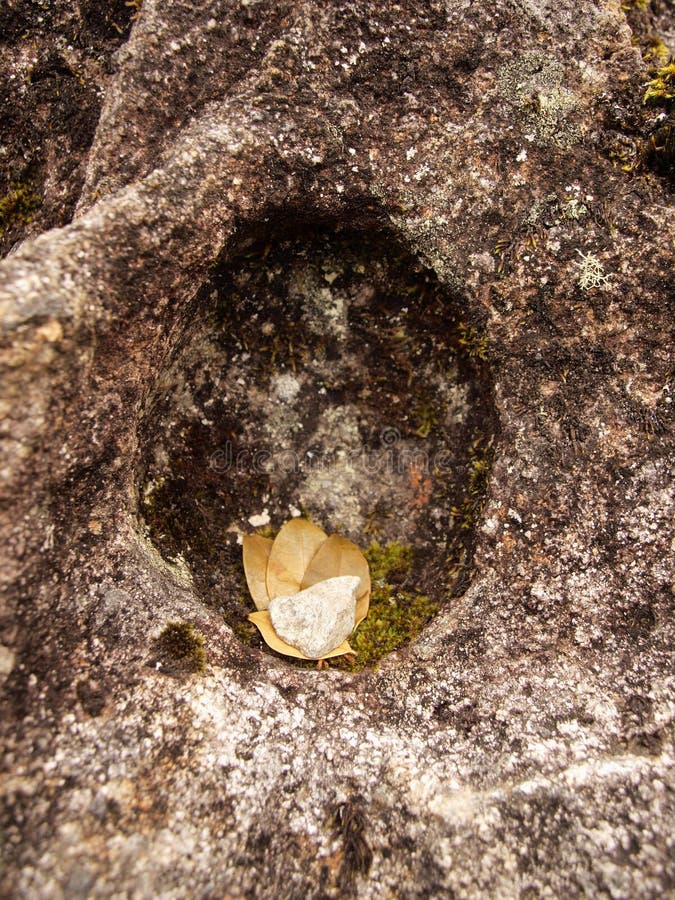 Coca leaves offerings stock image. Image of three, traditional 22775685