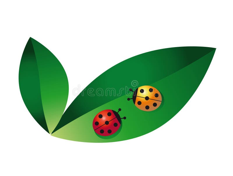 Coccinelle illustrazione vettoriale Coccinelle illustrazione vettoriale
