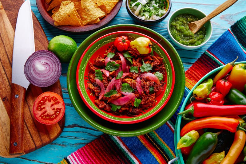 Cochinita Pibil Meksykański jedzenie z czerwoną cebulą obraz royalty free Cochinita Pibil Meksykański jedzenie z czerwoną cebulą obraz royalty free