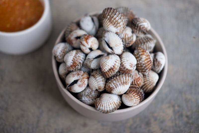 Close Up Cockle on a White Plate Stock Photo Image of seafood, health