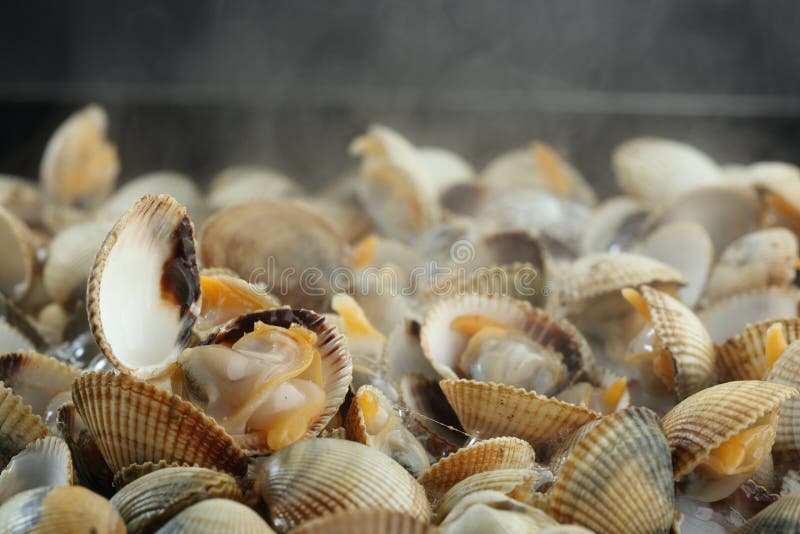 Clams stock photo. Image of food, water, marine, menu 16661132