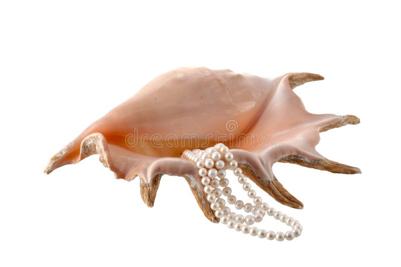 Cockleshell with pearls