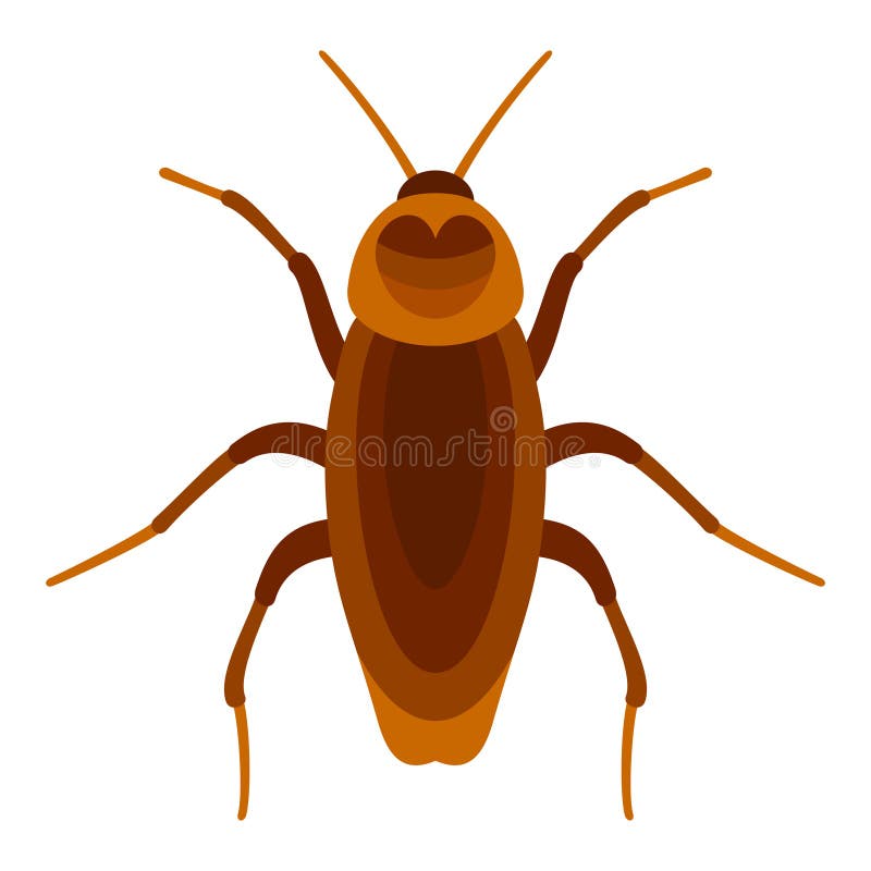 Cockroach Insect on White Background Flat Style Vector Illustration ...