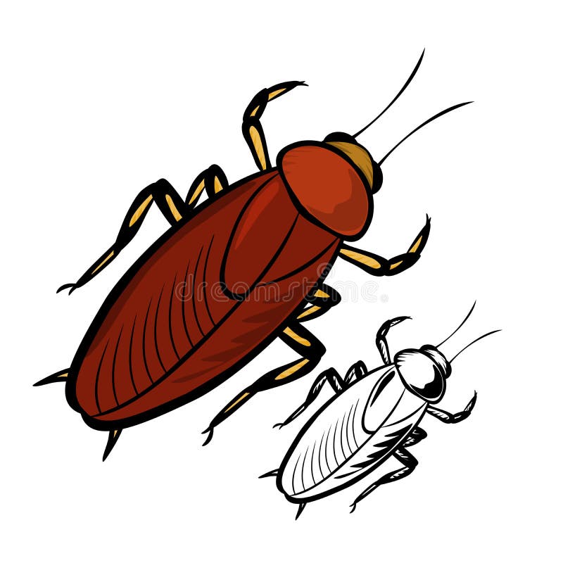 Cockroach stock vector. Illustration of background, isolated - 45212630