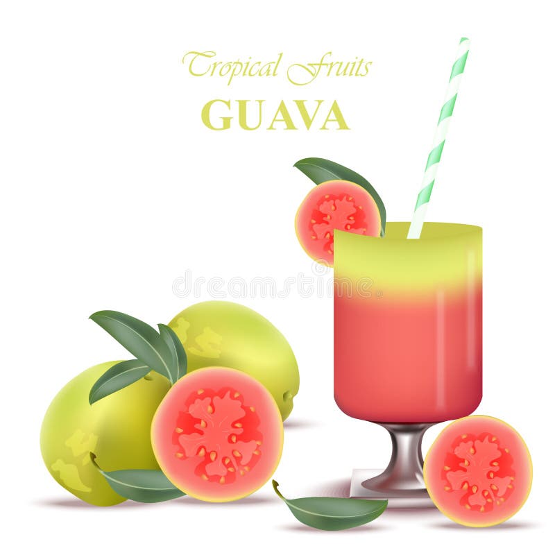 Smoothie Guava Vector exotic fruits cocktails fresh juicy tropic. Smoothie Guava Vector exotic fruits cocktails fresh juicy tropic