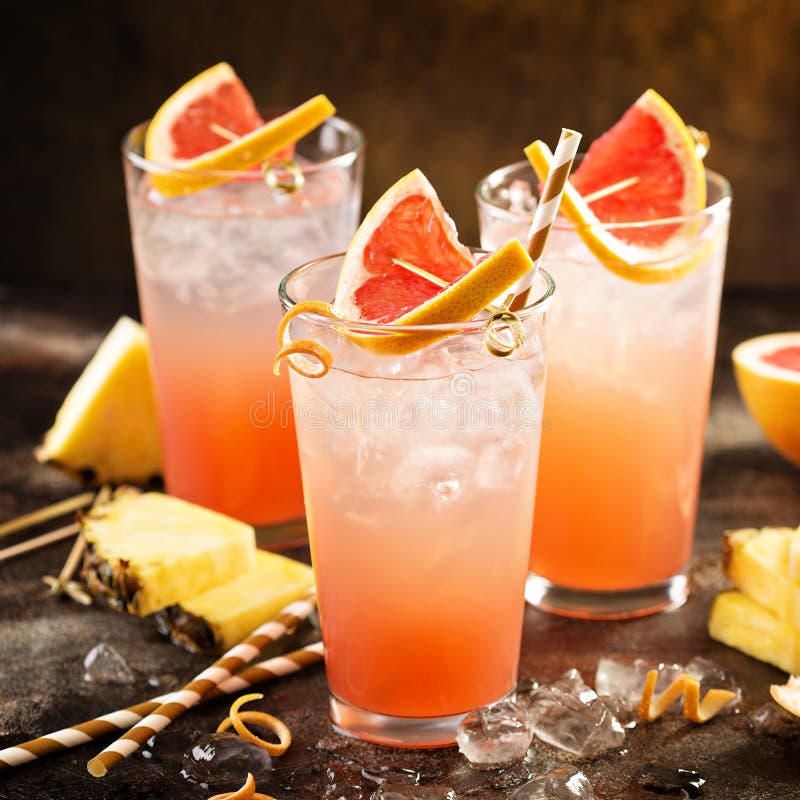 Cocktail Del Pompelmo In Vetri Alti Fotografia Stock Immagine di
