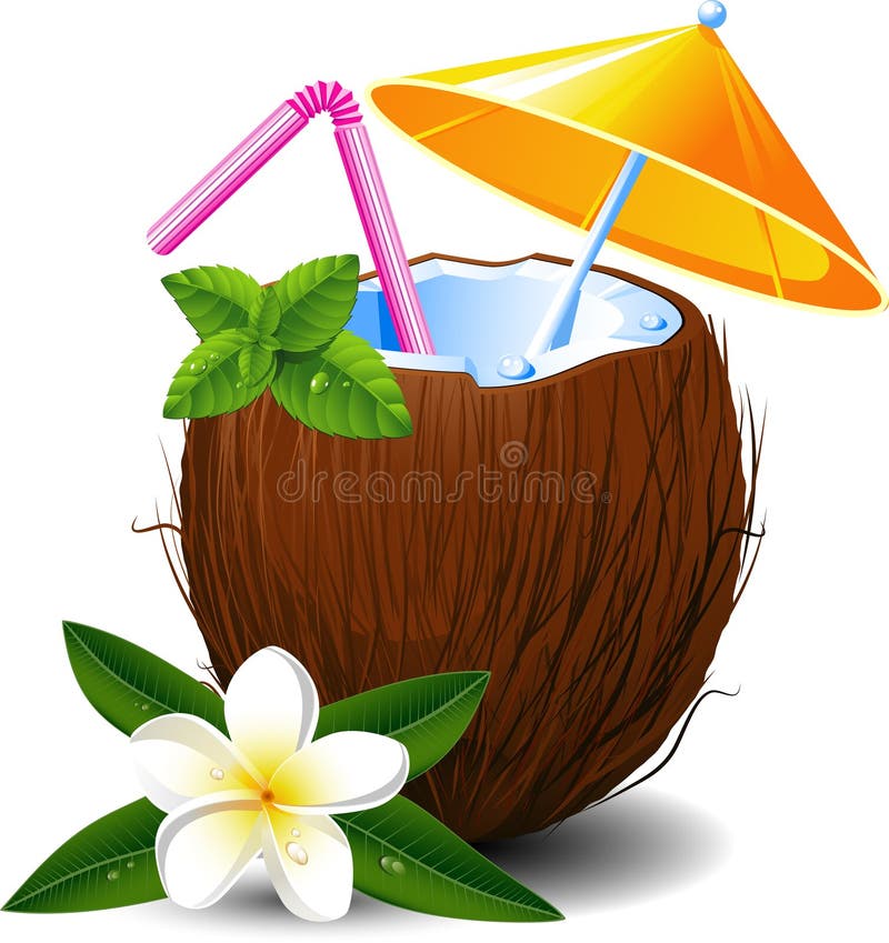 Cocktail esotico della noce di cocco illustrazione vettoriale Cocktail esotico della noce di cocco illustrazione vettoriale