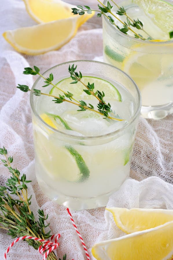 CocktailJin, Lime Juice and Thyme Stock Image Image of celebration